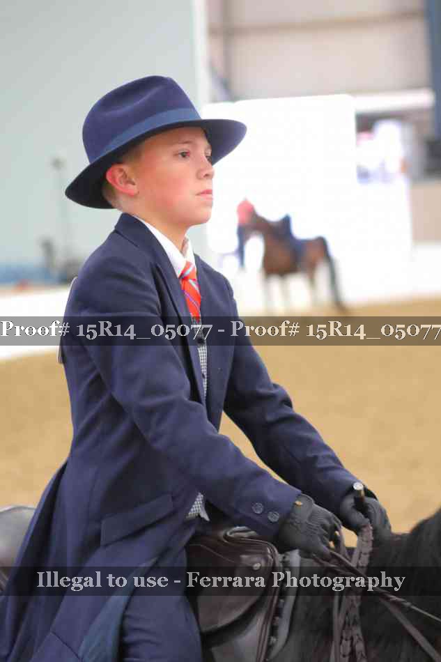 Proof Number 15R14_05077