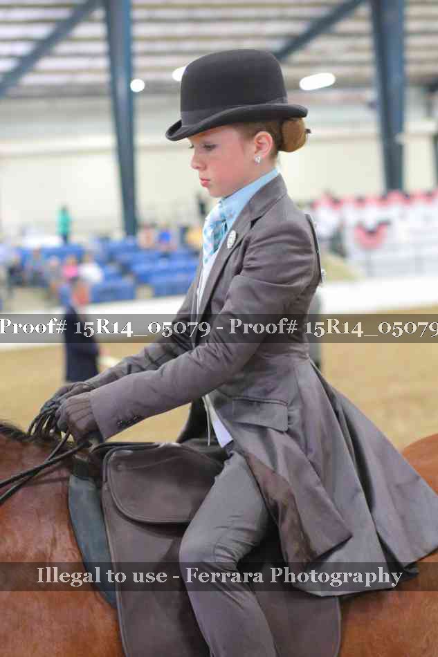 Proof Number 15R14_05079