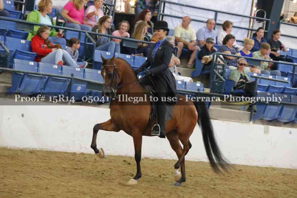 Proof Number 15R14_05041