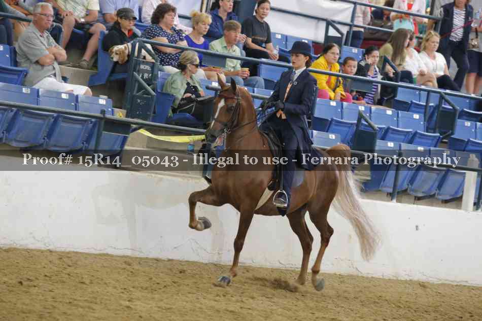 Proof Number 15R14_05043