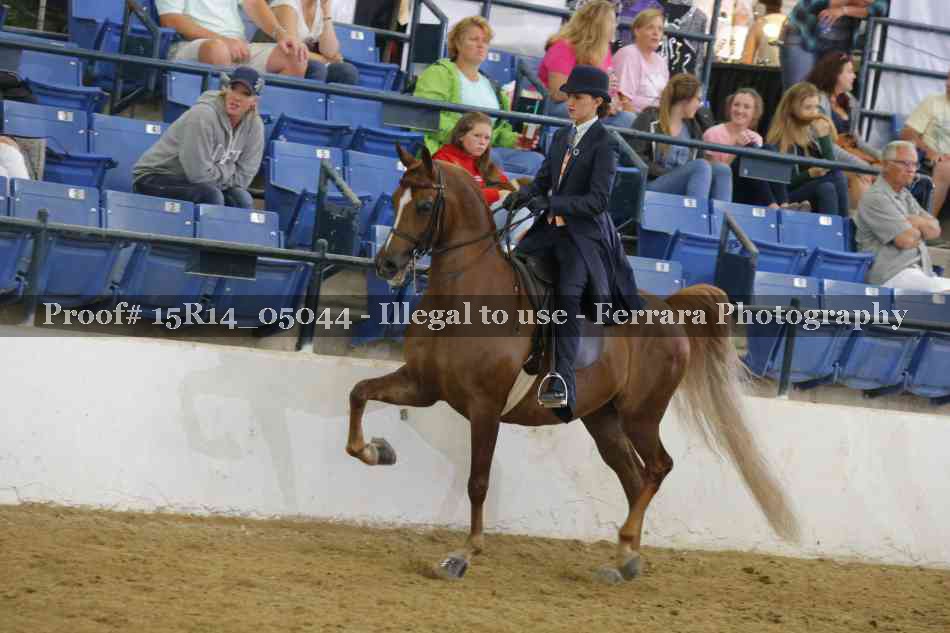 Proof Number 15R14_05044