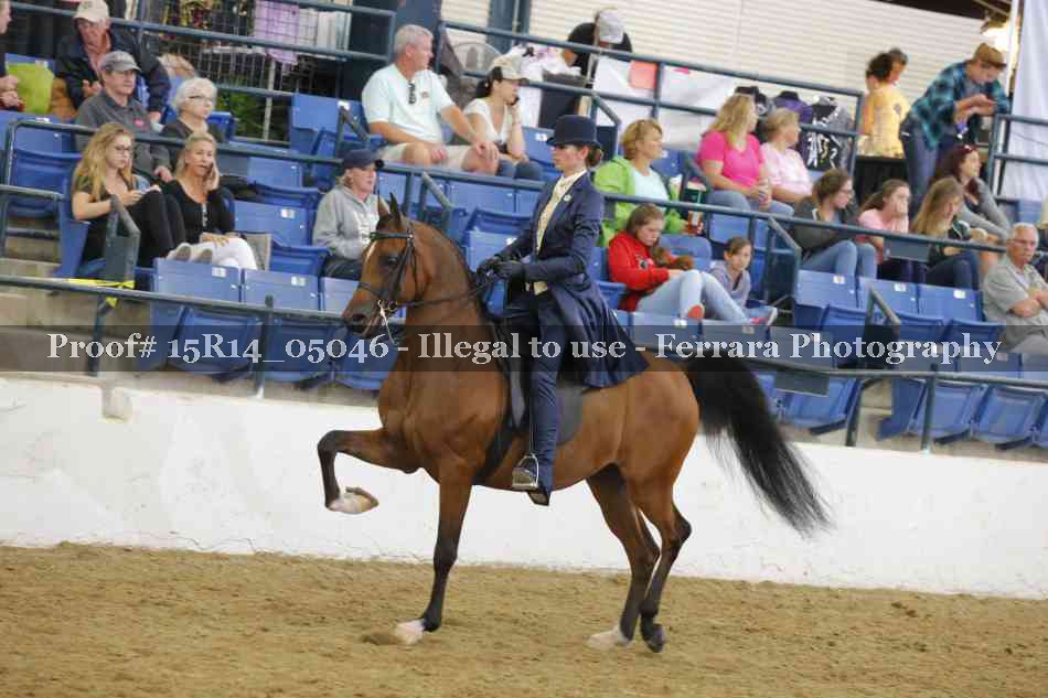 Proof Number 15R14_05046