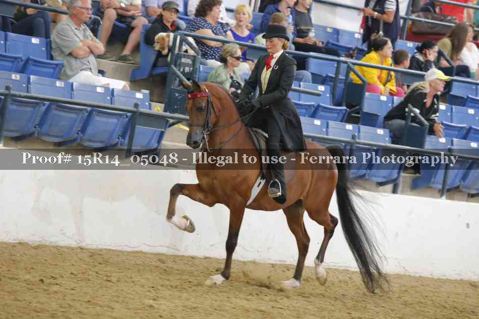 Proof Number 15R14_05048