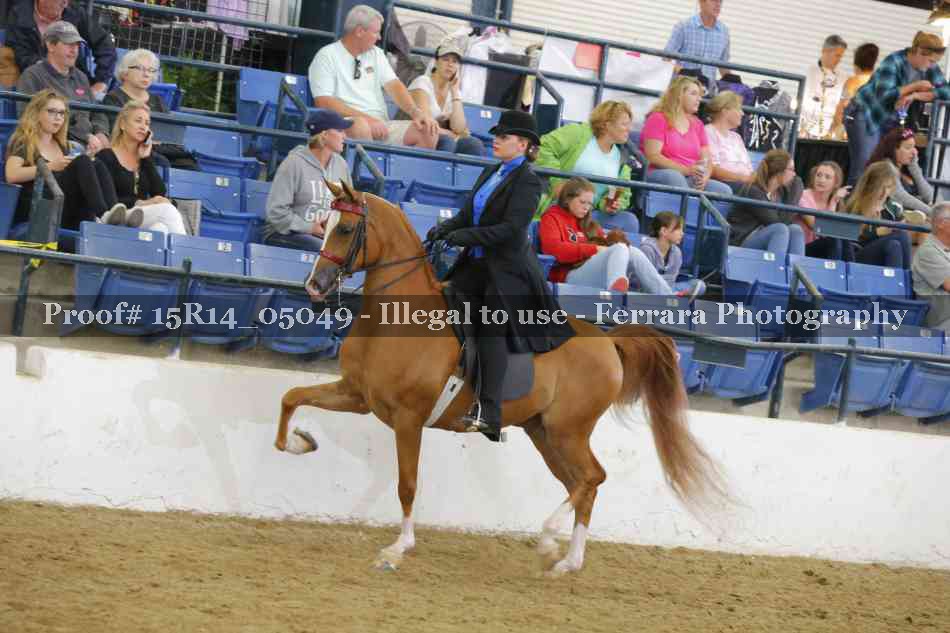 Proof Number 15R14_05049