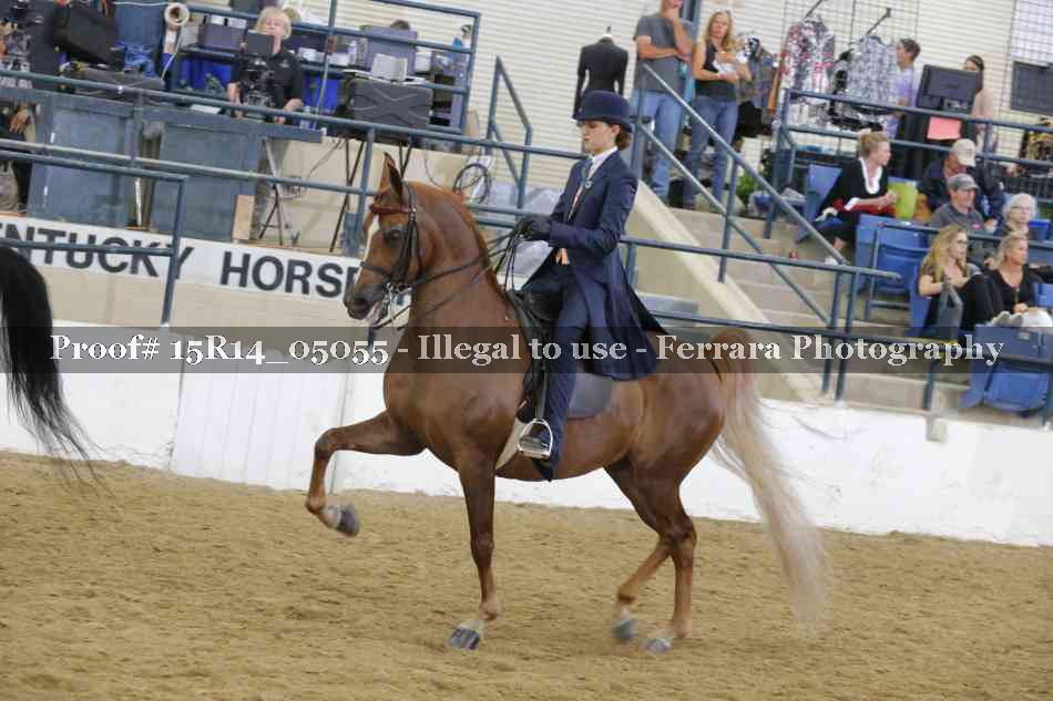 Proof Number 15R14_05055