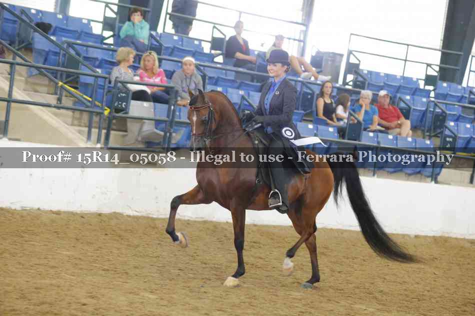 Proof Number 15R14_05058