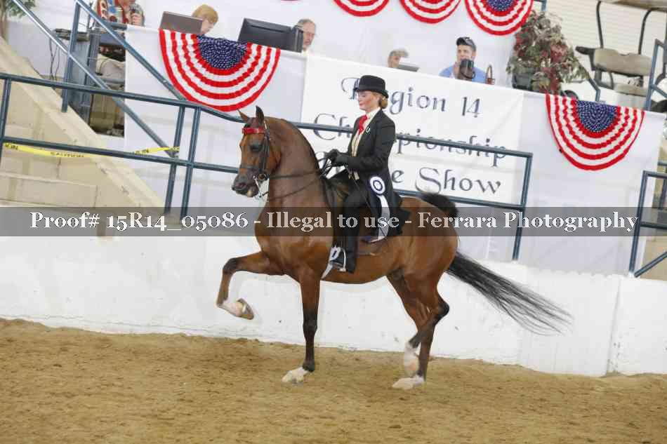 Proof Number 15R14_05086