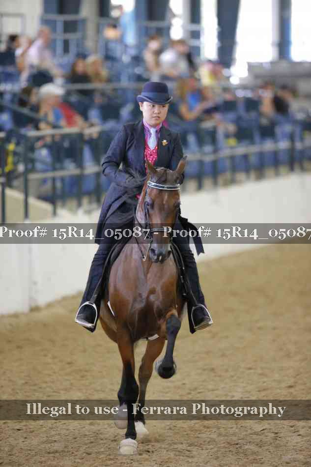 Proof Number 15R14_05087
