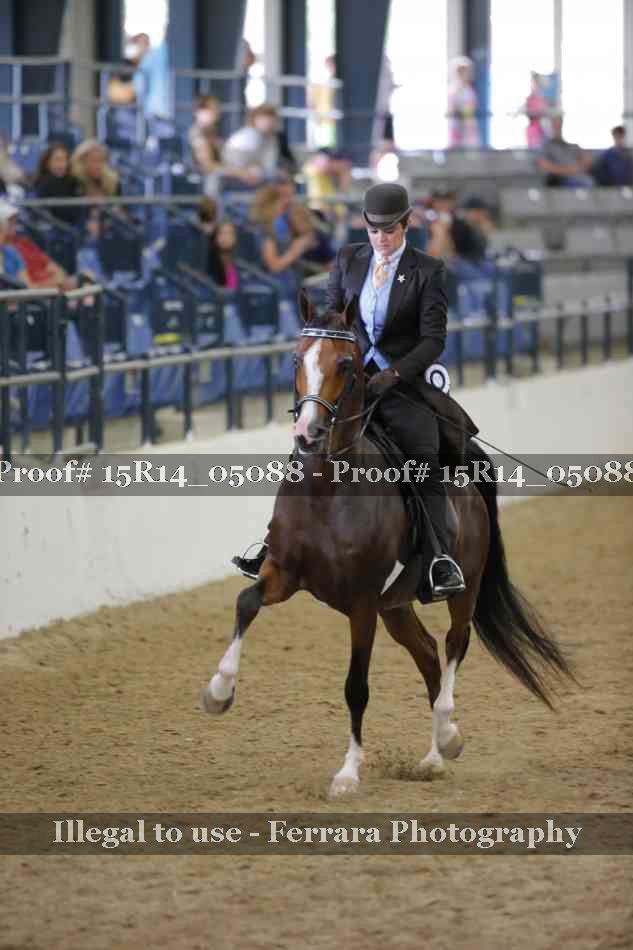 Proof Number 15R14_05088