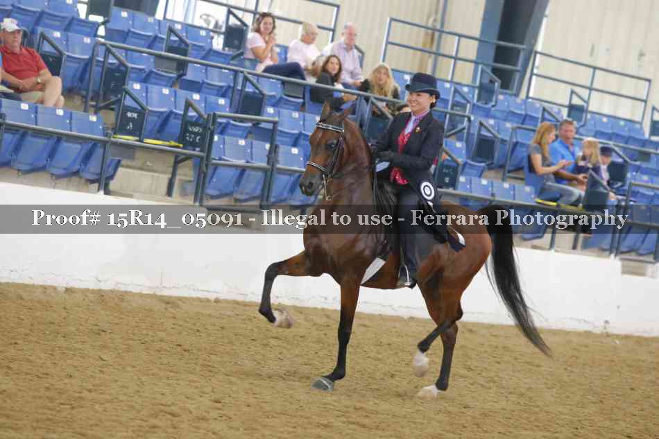 Proof Number 15R14_05091