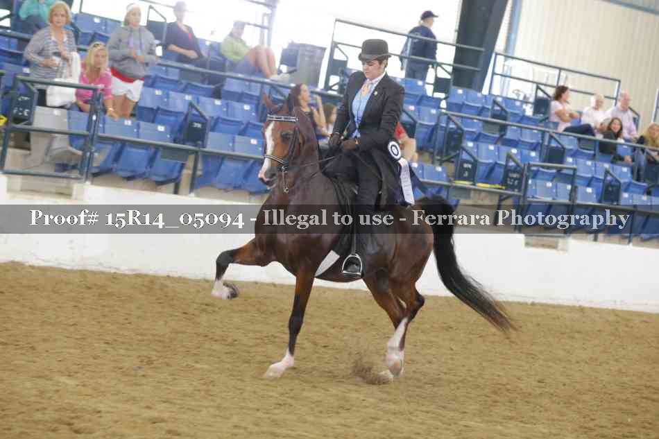 Proof Number 15R14_05094