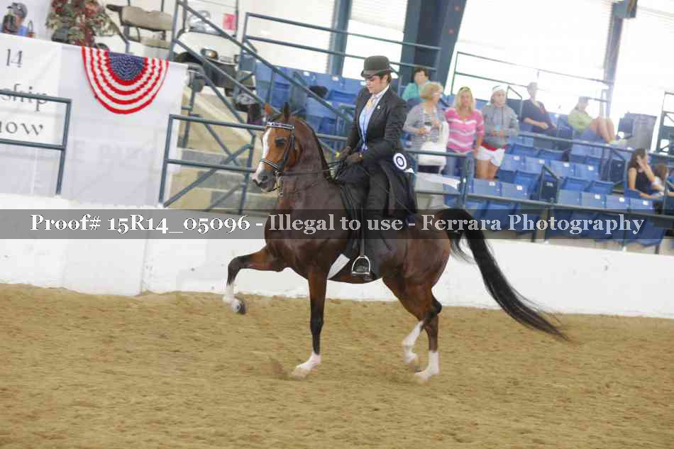 Proof Number 15R14_05096