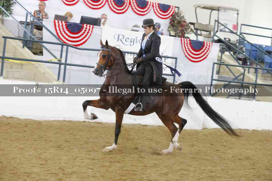 Proof Number 15R14_05097