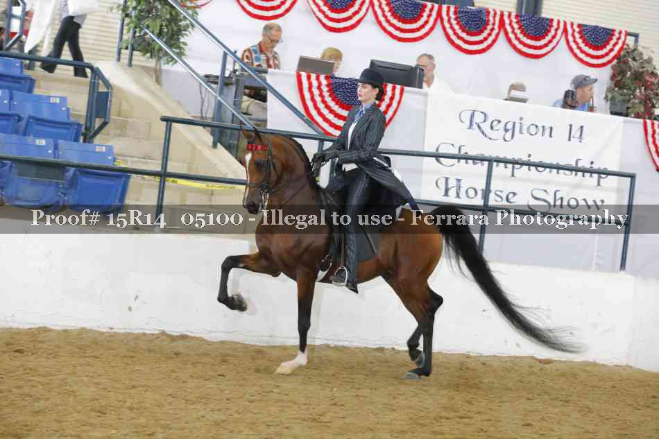 Proof Number 15R14_05100