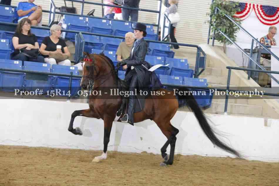Proof Number 15R14_05101