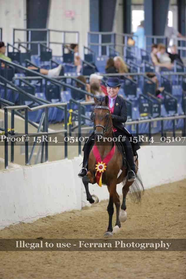Proof Number 15R14_05107