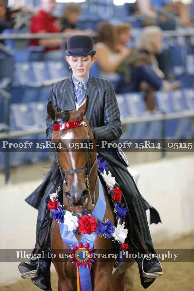 Proof Number 15R14_05115