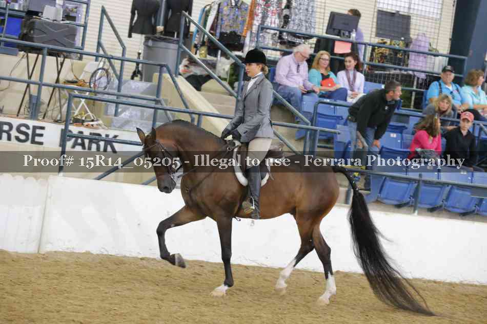 Proof Number 15R14_05205
