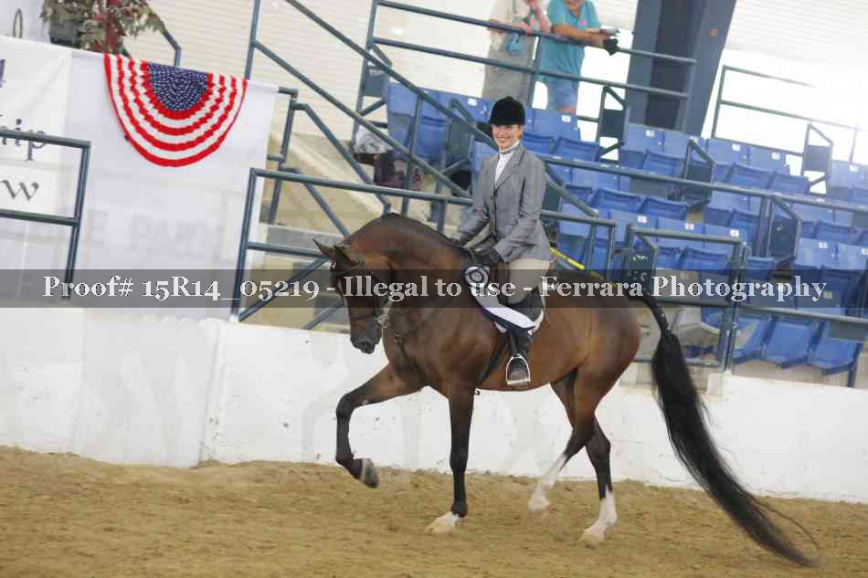 Proof Number 15R14_05219