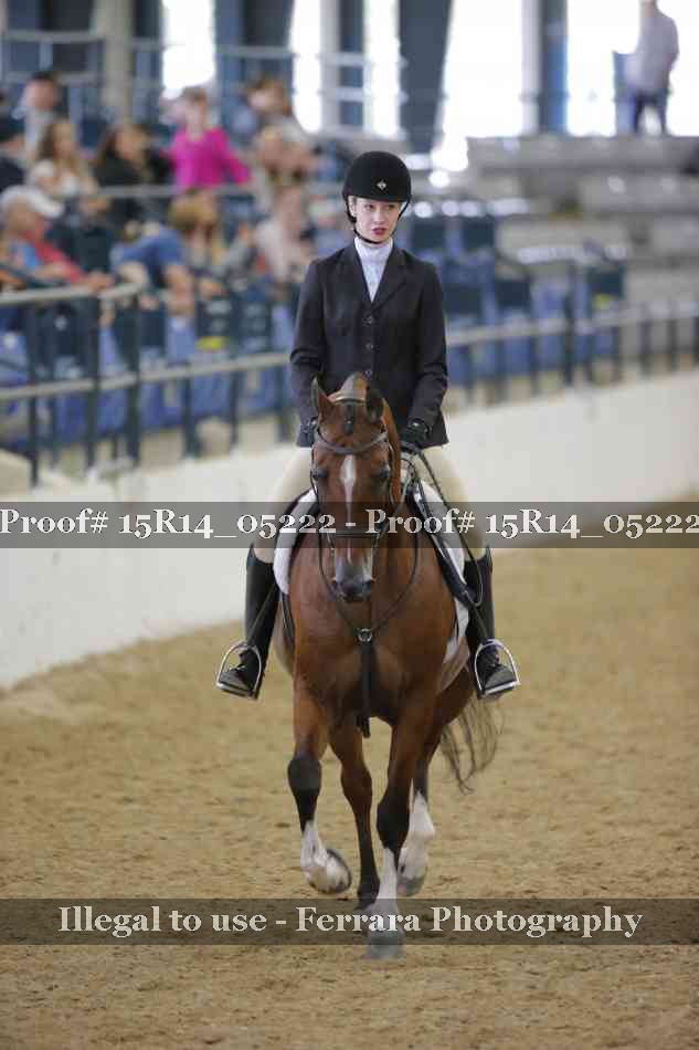 Proof Number 15R14_05222
