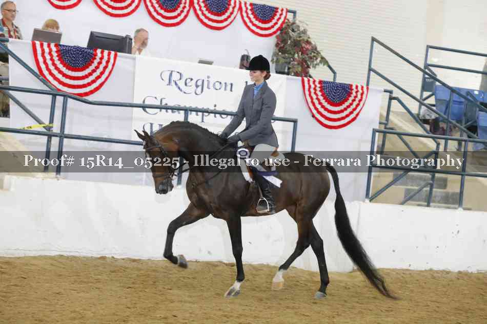 Proof Number 15R14_05225