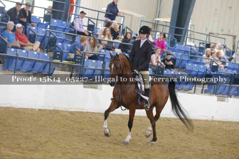 Proof Number 15R14_05227