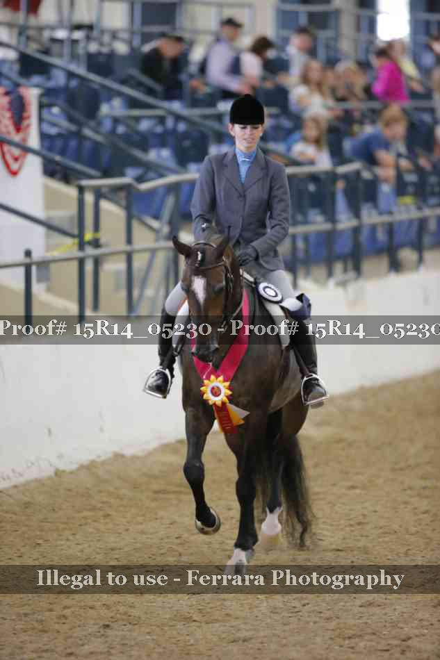 Proof Number 15R14_05230
