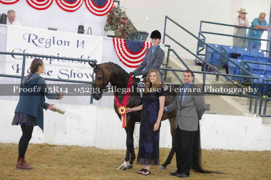 Proof Number 15R14_05233