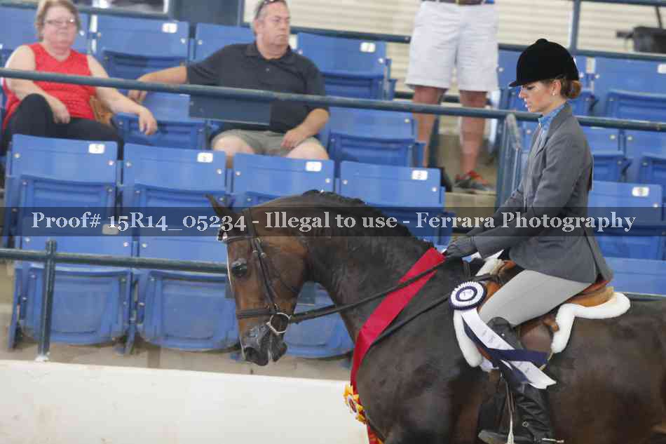 Proof Number 15R14_05234