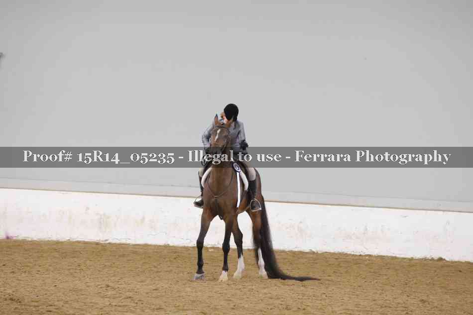 Proof Number 15R14_05235