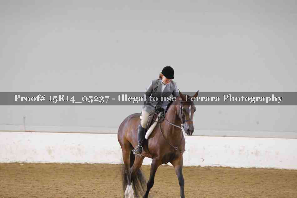 Proof Number 15R14_05237
