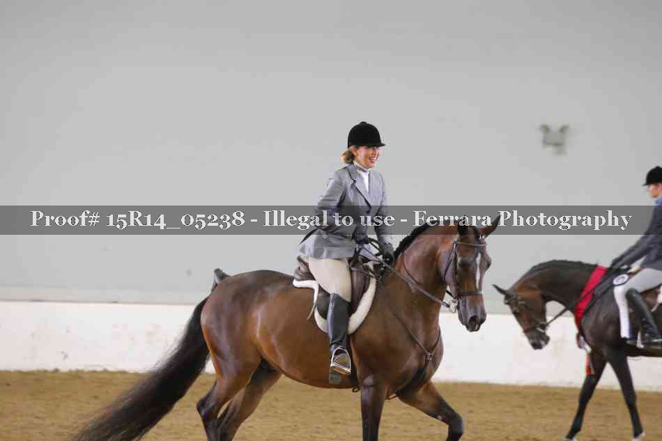 Proof Number 15R14_05238
