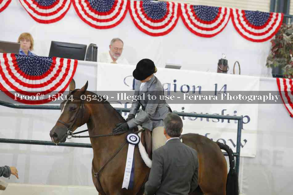 Proof Number 15R14_05239