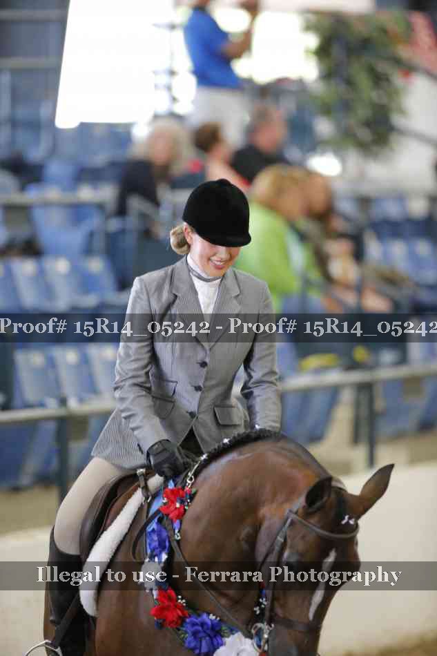 Proof Number 15R14_05242