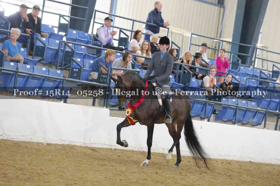 Proof Number 15R14_05258