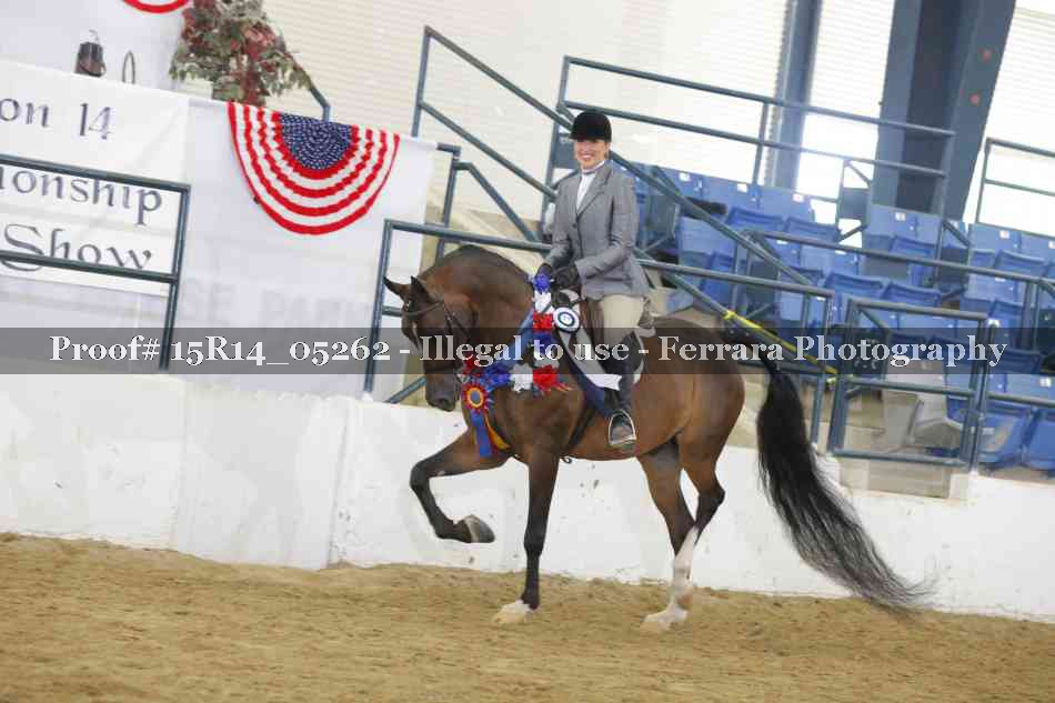 Proof Number 15R14_05262