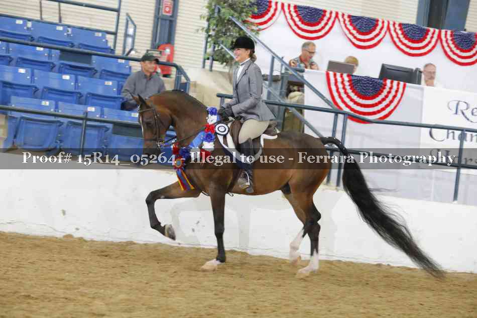 Proof Number 15R14_05264