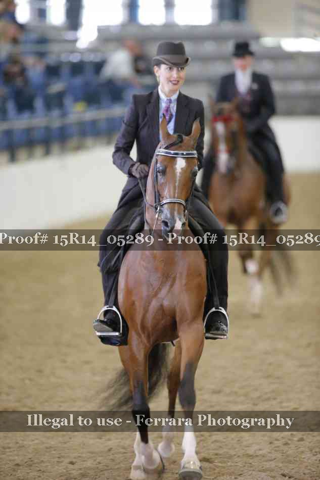 Proof Number 15R14_05289