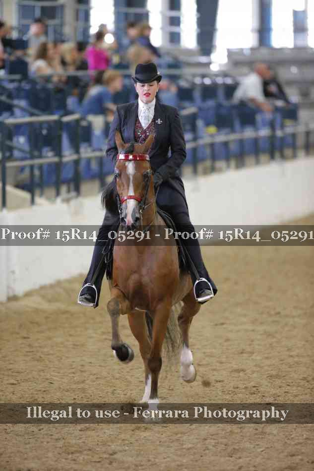 Proof Number 15R14_05291