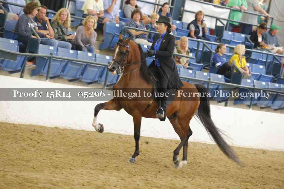 Proof Number 15R14_05296