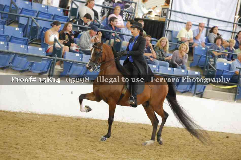 Proof Number 15R14_05298