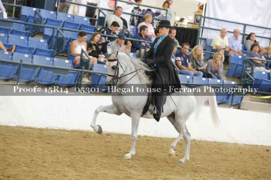Proof Number 15R14_05301