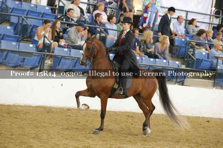 Proof Number 15R14_05302