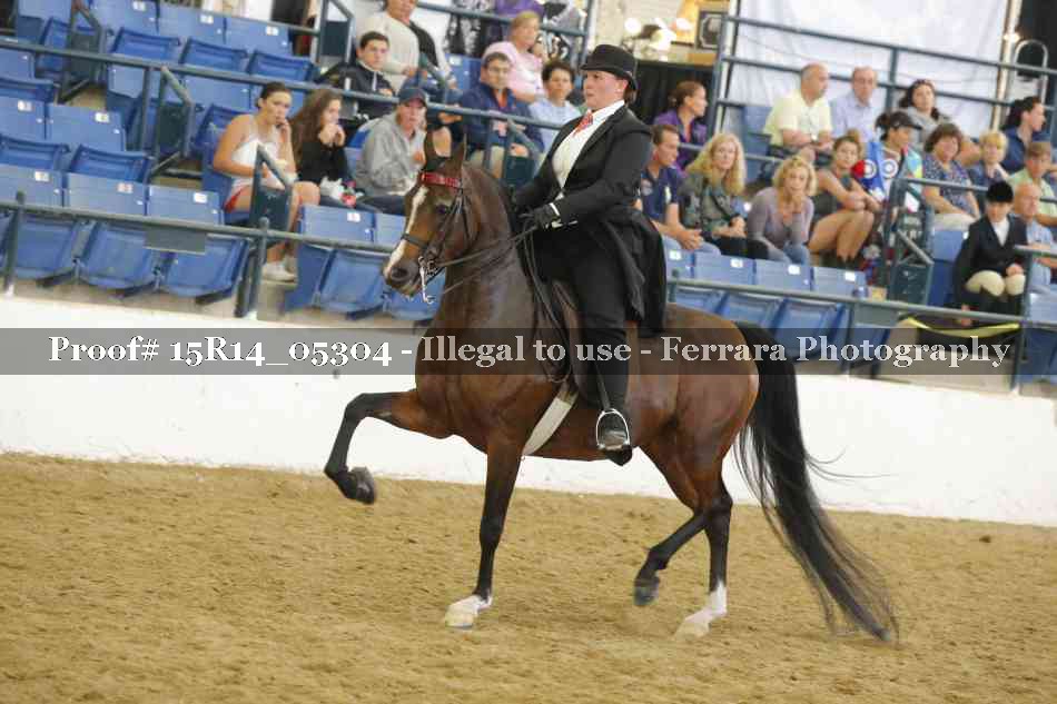 Proof Number 15R14_05304