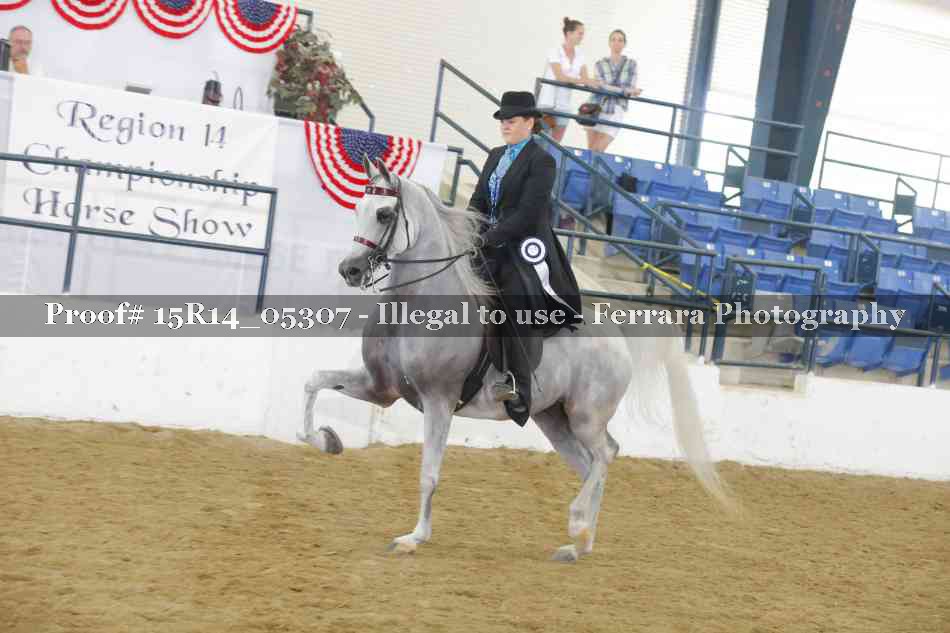 Proof Number 15R14_05307