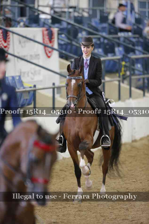 Proof Number 15R14_05310