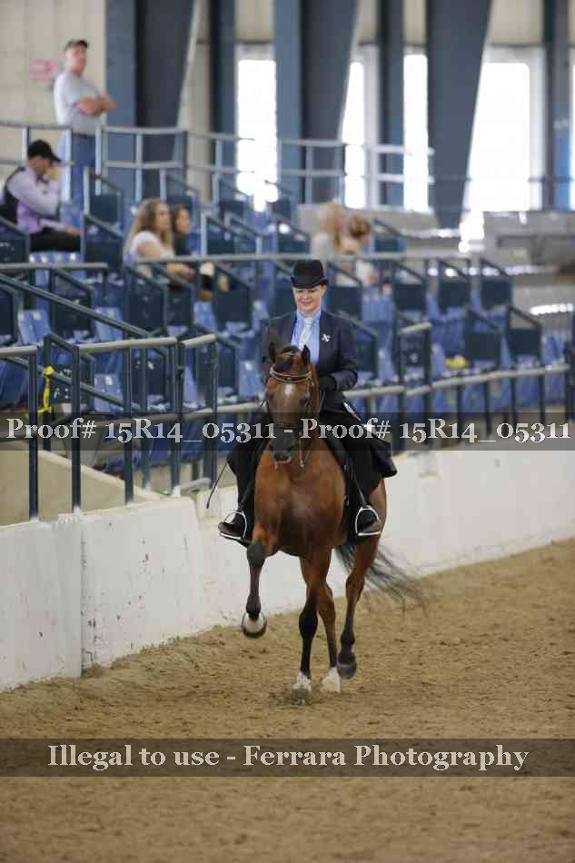 Proof Number 15R14_05311