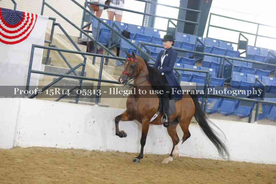 Proof Number 15R14_05313