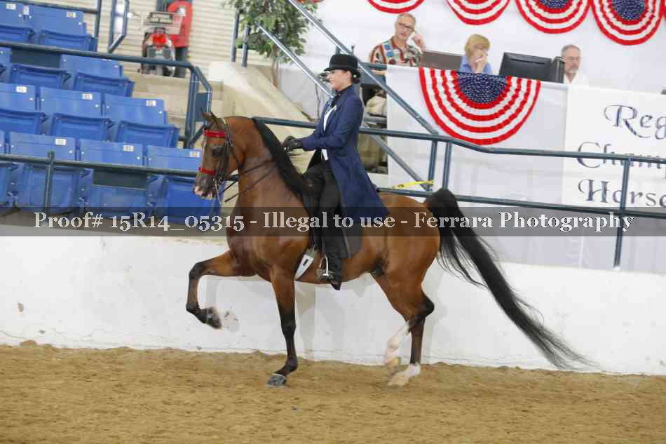 Proof Number 15R14_05315