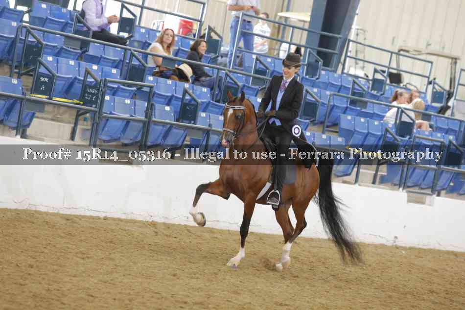 Proof Number 15R14_05316